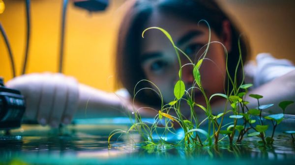 Découvrez les conseils d'un pro en aquariophilie